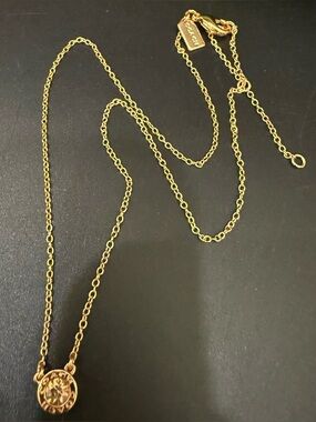 COACH Rose-Gold Open Circle Crystal Pendant Necklace